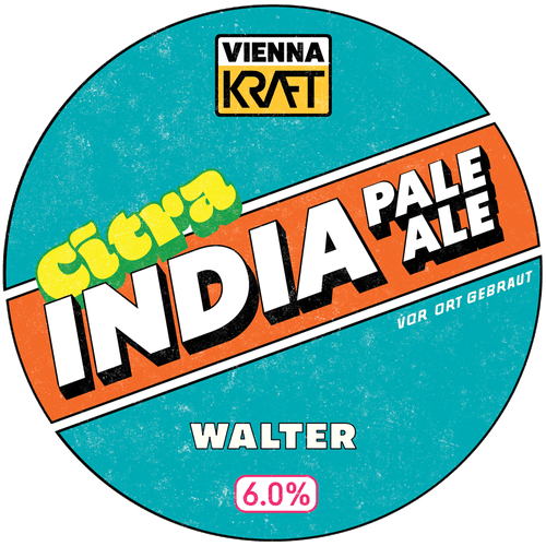 6578507b1b5aeef0eff2f234_vk-ipa-p-500